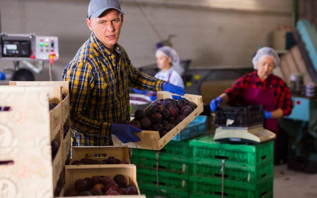 Packaging and sorting worker